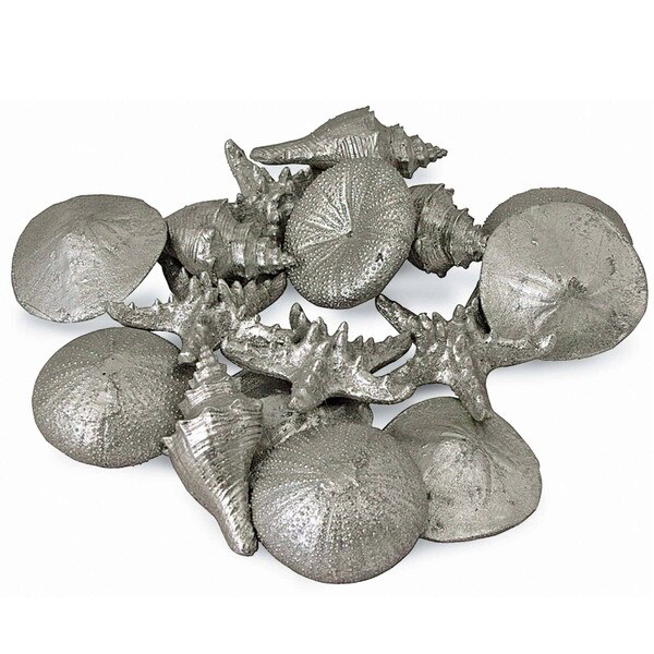 Assorted Mini Seashells Set of 12